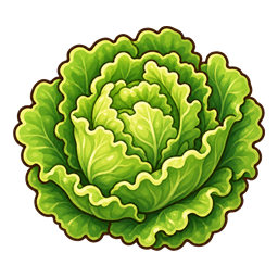 生菜